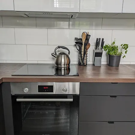 Spacious 2-bedroom Near Center Apartment