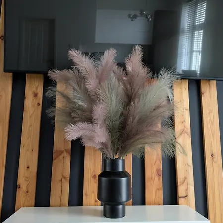 Spacious 2-bedroom Near Center