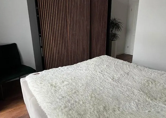 Spacious 2-bedroom Near Center *