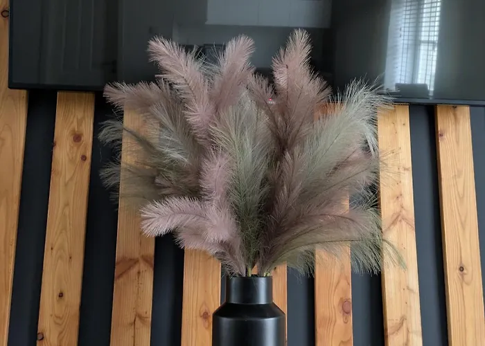 Spacious 2-bedroom Near Center