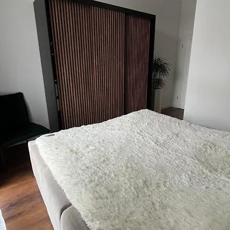Spacious 2-bedroom Near Center *